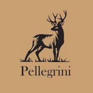 Pellegrini